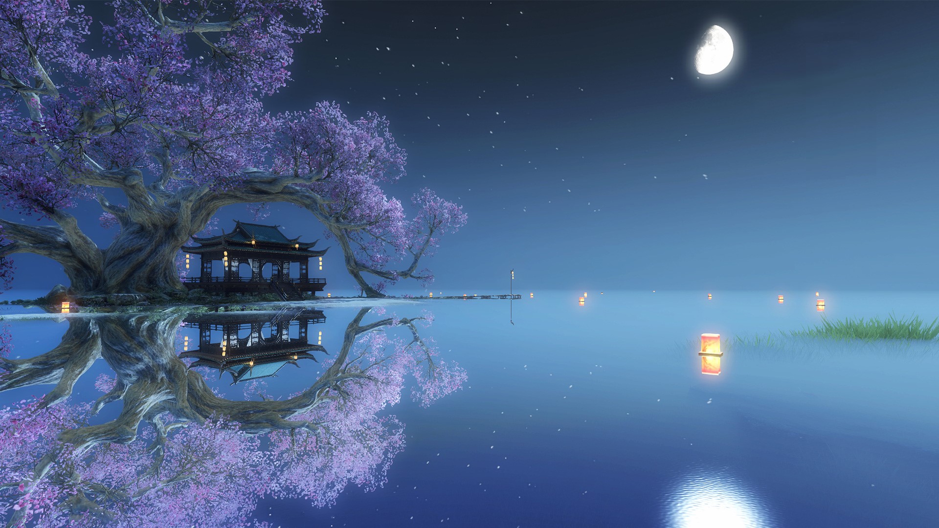 large picture of the cover